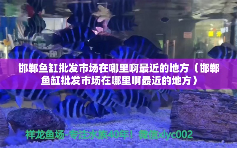 邯鄲魚缸批發(fā)市場(chǎng)在哪里啊最近的地方（邯鄲魚缸批發(fā)市場(chǎng)在哪里啊最近的地方）