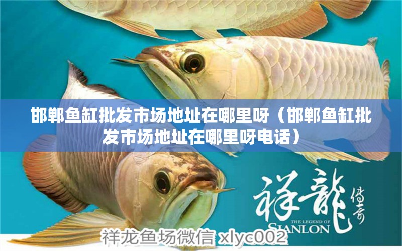 邯鄲魚缸批發(fā)市場(chǎng)地址在哪里呀（邯鄲魚缸批發(fā)市場(chǎng)地址在哪里呀電話）