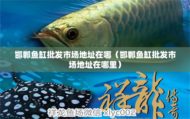 邯鄲魚缸批發(fā)市場(chǎng)地址在哪（邯鄲魚缸批發(fā)市場(chǎng)地址在哪里） 南美異形觀賞魚