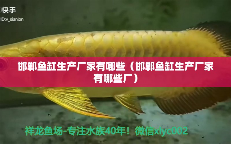 邯鄲魚缸生產(chǎn)廠家有哪些（邯鄲魚缸生產(chǎn)廠家有哪些廠）