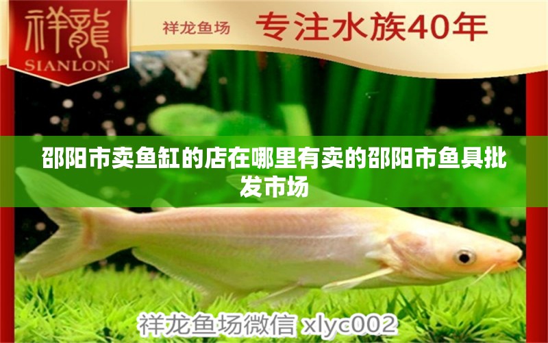 邵陽(yáng)市賣(mài)魚(yú)缸的店在哪里有賣(mài)的邵陽(yáng)市魚(yú)具批發(fā)市場(chǎng) 二氧化碳設(shè)備