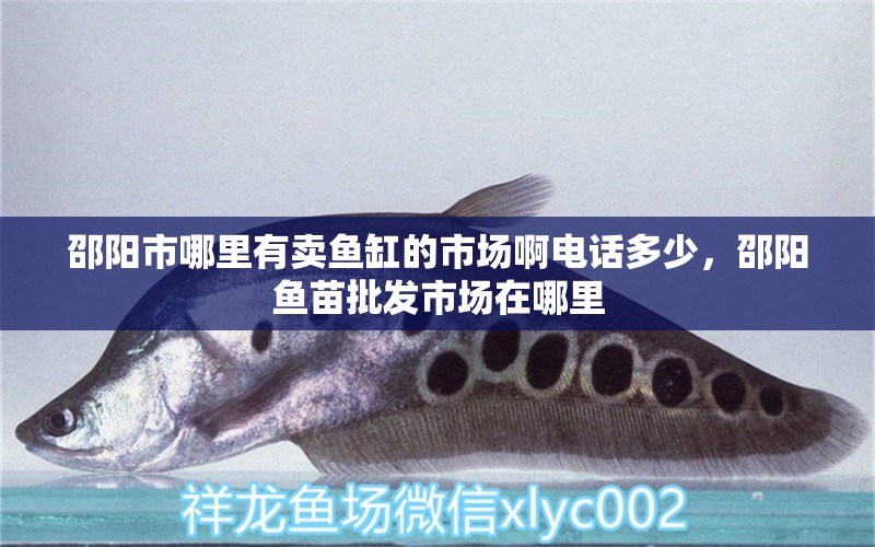 邵陽市哪里有賣魚缸的市場啊電話多少，邵陽魚苗批發(fā)市場在哪里 水族用品