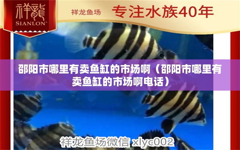 邵陽市哪里有賣魚缸的市場?。ㄉ坳柺心睦镉匈u魚缸的市場啊電話）