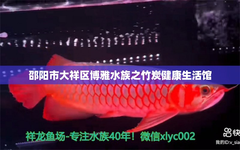 邵陽市大祥區(qū)博雅水族之竹炭健康生活館 全國水族館企業(yè)名錄