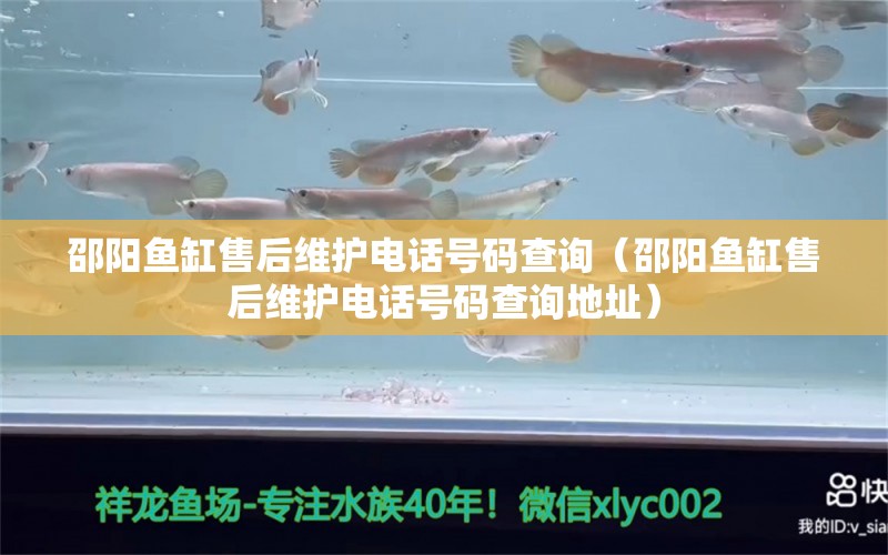 邵陽魚缸售后維護(hù)電話號(hào)碼查詢（邵陽魚缸售后維護(hù)電話號(hào)碼查詢地址）