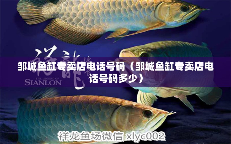 鄒城魚缸專賣店電話號(hào)碼（鄒城魚缸專賣店電話號(hào)碼多少）