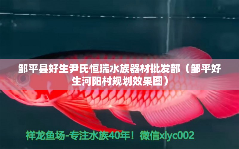 鄒平縣好生尹氏恒瑞水族器材批發(fā)部（鄒平好生河陽村規(guī)劃效果圖） 全國水族館企業(yè)名錄