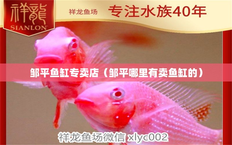 鄒平魚缸專賣店（鄒平哪里有賣魚缸的） 文玩