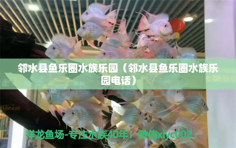 鄰水縣魚樂圈水族樂園（鄰水縣魚樂圈水族樂園電話） 全國水族館企業(yè)名錄