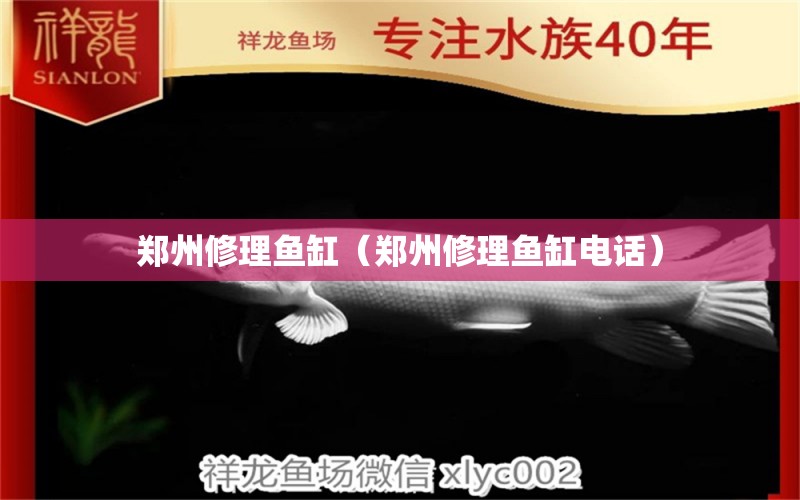 鄭州修理魚缸（鄭州修理魚缸電話） 其他品牌魚缸