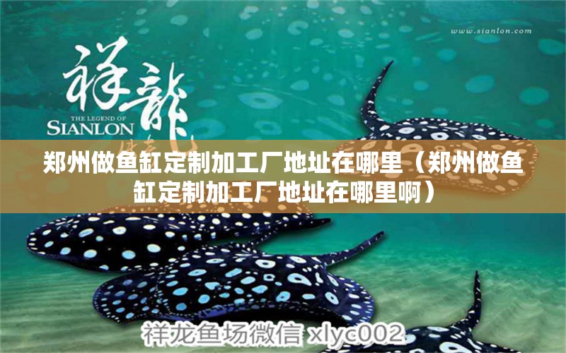 鄭州做魚(yú)缸定制加工廠地址在哪里（鄭州做魚(yú)缸定制加工廠地址在哪里?。? title=