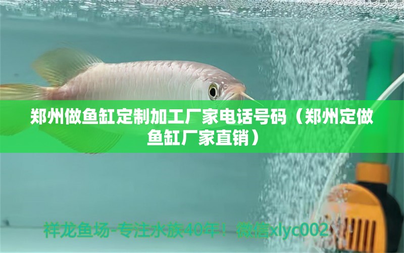 鄭州做魚缸定制加工廠家電話號碼（鄭州定做魚缸廠家直銷） 野生埃及神仙魚