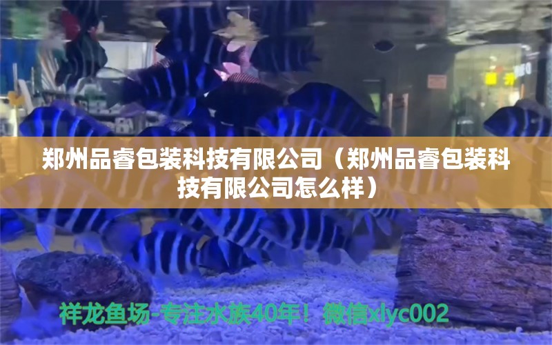 鄭州品睿包裝科技有限公司（鄭州品睿包裝科技有限公司怎么樣）