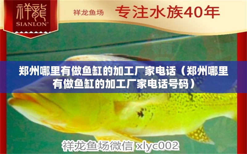 鄭州哪里有做魚缸的加工廠家電話（鄭州哪里有做魚缸的加工廠家電話號(hào)碼）