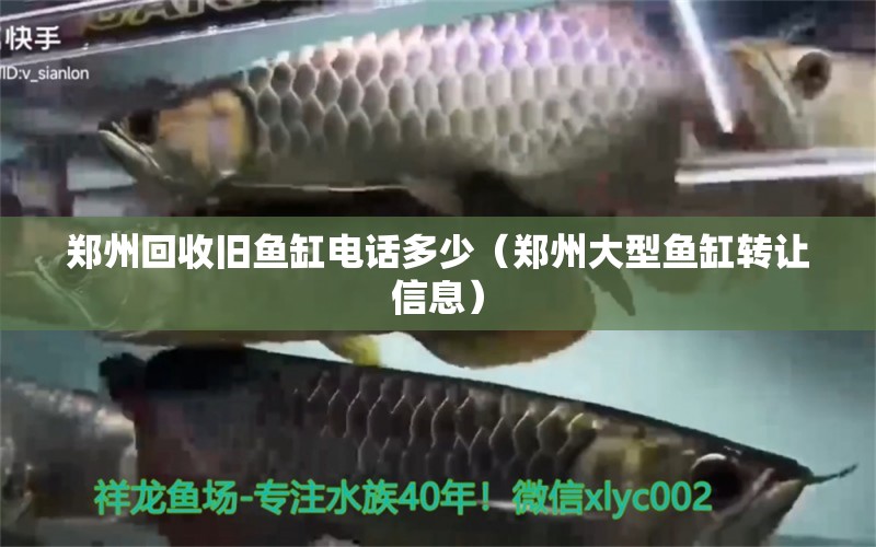 鄭州回收舊魚缸電話多少（鄭州大型魚缸轉讓信息）