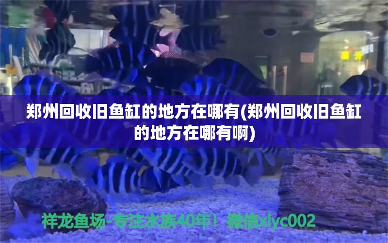 鄭州回收舊魚缸的地方在哪有(鄭州回收舊魚缸的地方在哪有啊)