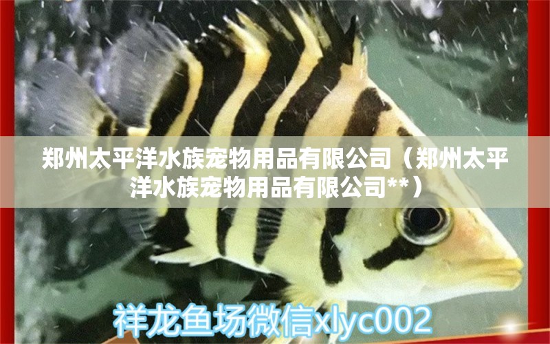 鄭州太平洋水族寵物用品有限公司（鄭州太平洋水族寵物用品有限公司**） 全國(guó)水族館企業(yè)名錄