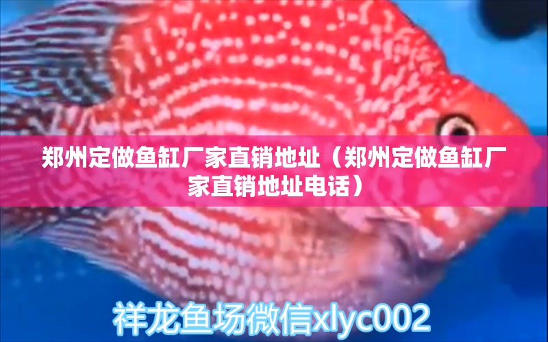 鄭州定做魚缸廠家直銷地址（鄭州定做魚缸廠家直銷地址電話） 其他品牌魚缸