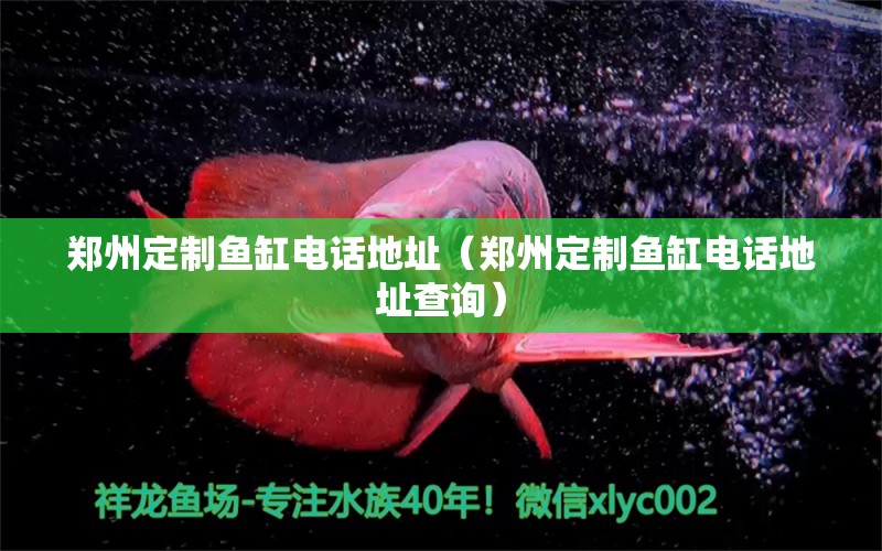 鄭州定制魚缸電話地址（鄭州定制魚缸電話地址查詢）