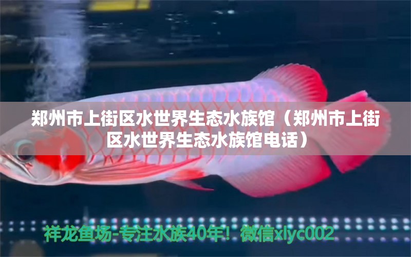 鄭州市上街區(qū)水世界生態(tài)水族館（鄭州市上街區(qū)水世界生態(tài)水族館電話） 全國水族館企業(yè)名錄