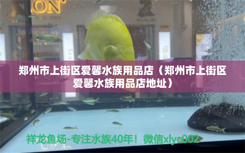 鄭州市上街區(qū)愛馨水族用品店（鄭州市上街區(qū)愛馨水族用品店地址）