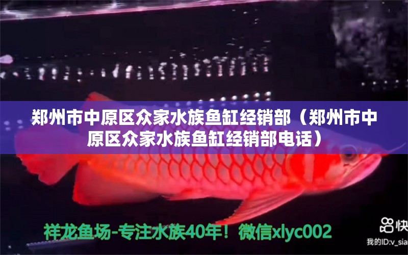 鄭州市中原區(qū)眾家水族魚缸經(jīng)銷部（鄭州市中原區(qū)眾家水族魚缸經(jīng)銷部電話） 全國(guó)水族館企業(yè)名錄