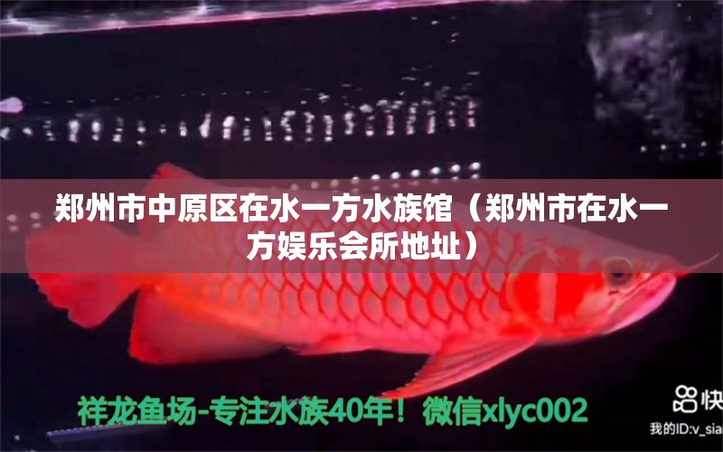 鄭州市中原區(qū)在水一方水族館（鄭州市在水一方娛樂會(huì)所地址） 一方水族