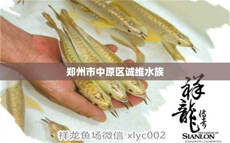 鄭州市中原區(qū)誠(chéng)維水族 全國(guó)水族館企業(yè)名錄