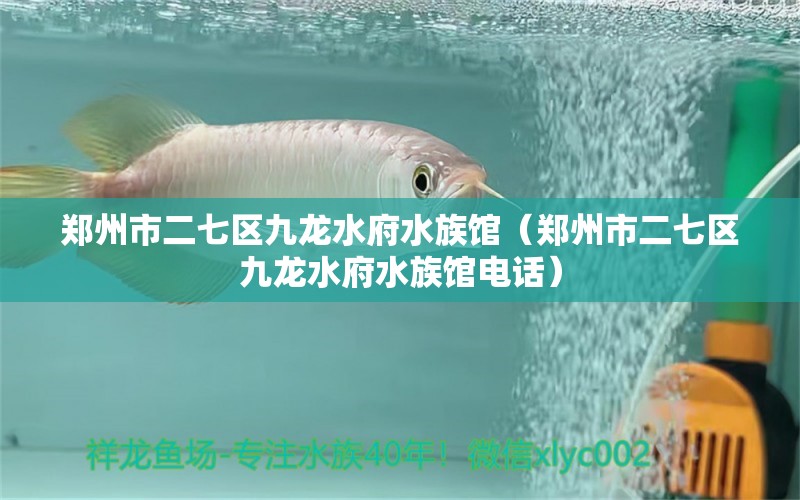 鄭州市二七區(qū)九龍水府水族館（鄭州市二七區(qū)九龍水府水族館電話） 全國水族館企業(yè)名錄