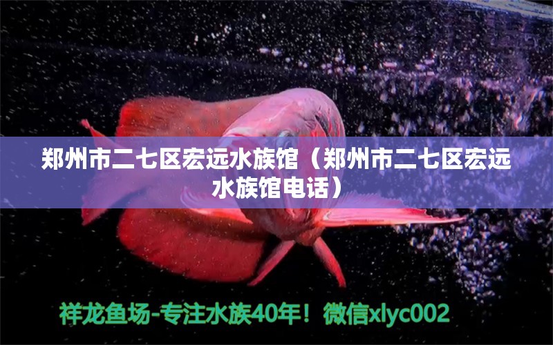 鄭州市二七區(qū)宏遠(yuǎn)水族館（鄭州市二七區(qū)宏遠(yuǎn)水族館電話）