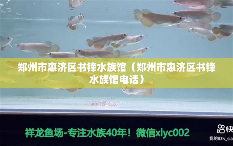 鄭州市惠濟區(qū)書鋒水族館（鄭州市惠濟區(qū)書鋒水族館電話）