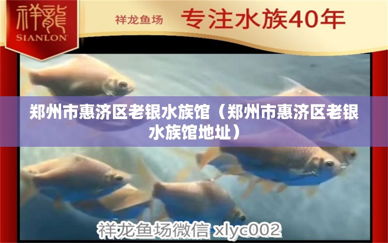 鄭州市惠濟區(qū)老銀水族館（鄭州市惠濟區(qū)老銀水族館地址） 全國水族館企業(yè)名錄