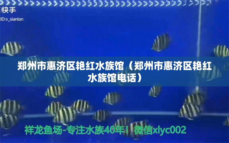 鄭州市惠濟區(qū)艷紅水族館（鄭州市惠濟區(qū)艷紅水族館電話）