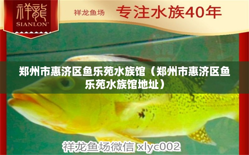 鄭州市惠濟(jì)區(qū)魚(yú)樂(lè)苑水族館（鄭州市惠濟(jì)區(qū)魚(yú)樂(lè)苑水族館地址）