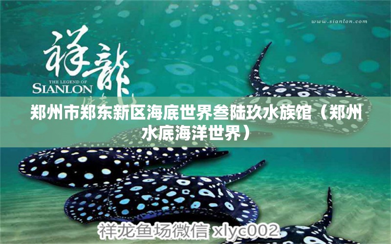 鄭州市鄭東新區(qū)海底世界叁陸玖水族館（鄭州水底海洋世界） 全國(guó)水族館企業(yè)名錄