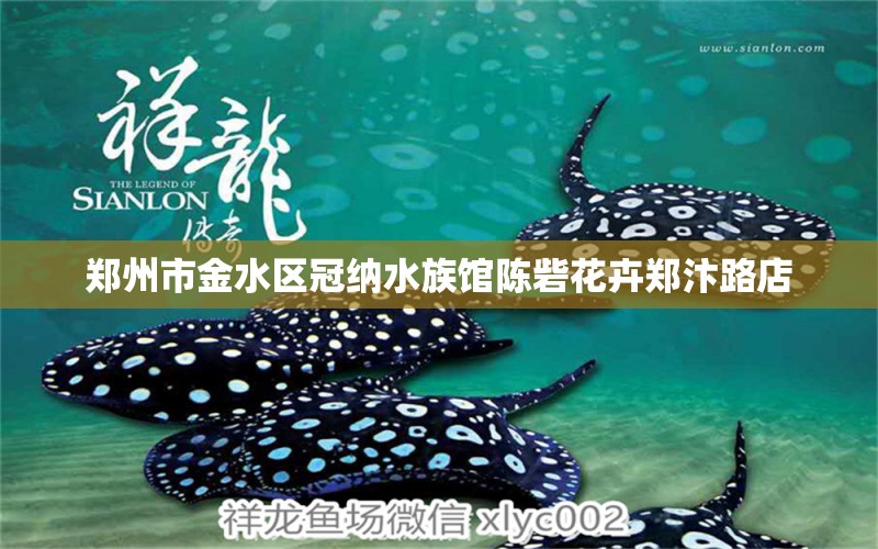 鄭州市金水區(qū)冠納水族館陳砦花卉鄭汴路店