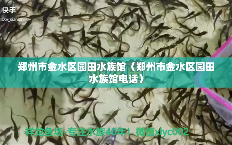 鄭州市金水區(qū)園田水族館（鄭州市金水區(qū)園田水族館電話） 全國(guó)水族館企業(yè)名錄