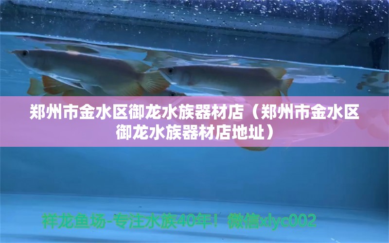 鄭州市金水區(qū)御龍水族器材店（鄭州市金水區(qū)御龍水族器材店地址） 全國水族館企業(yè)名錄 第1張