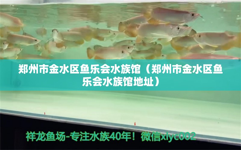 鄭州市金水區(qū)魚(yú)樂(lè)會(huì)水族館（鄭州市金水區(qū)魚(yú)樂(lè)會(huì)水族館地址） 全國(guó)水族館企業(yè)名錄