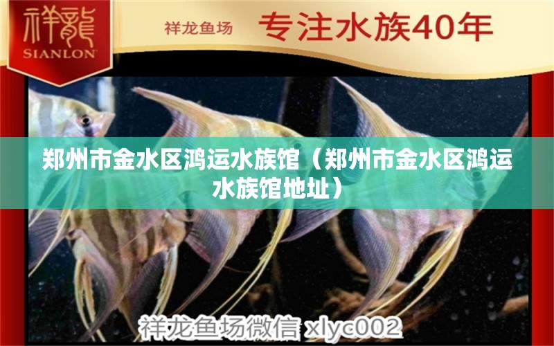 鄭州市金水區(qū)鴻運(yùn)水族館（鄭州市金水區(qū)鴻運(yùn)水族館地址） 全國水族館企業(yè)名錄