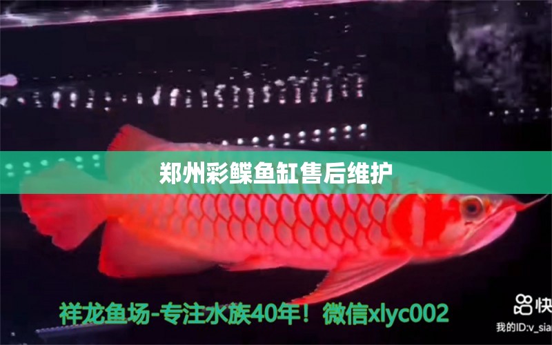 鄭州彩鰈魚缸售后維護 彩鰈魚缸（彩蝶魚缸）