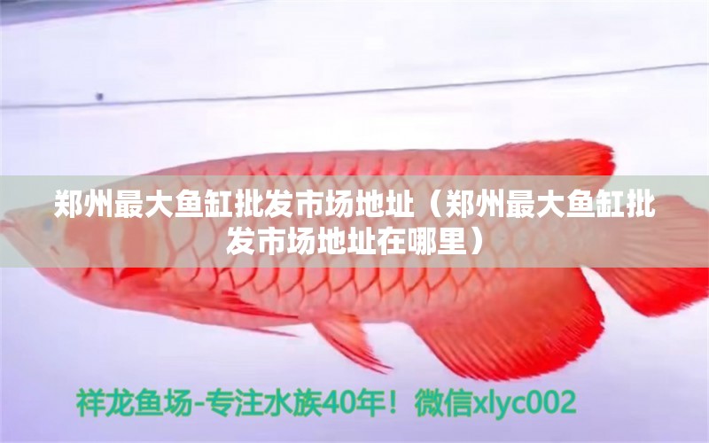 鄭州最大魚(yú)缸批發(fā)市場(chǎng)地址（鄭州最大魚(yú)缸批發(fā)市場(chǎng)地址在哪里）