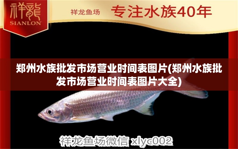 鄭州水族批發(fā)市場營業(yè)時間表圖片(鄭州水族批發(fā)市場營業(yè)時間表圖片大全)