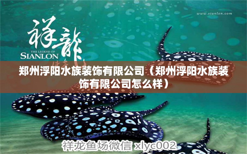 鄭州浮陽水族裝飾有限公司（鄭州浮陽水族裝飾有限公司怎么樣）