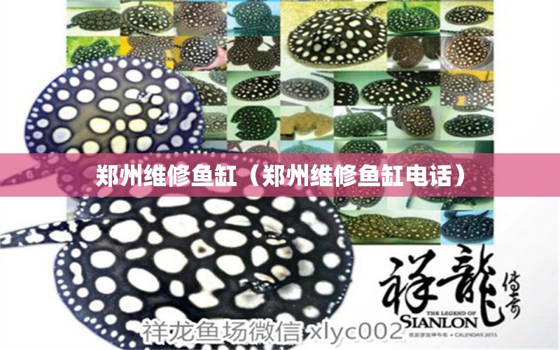 鄭州維修魚缸（鄭州維修魚缸電話） 其他品牌魚缸