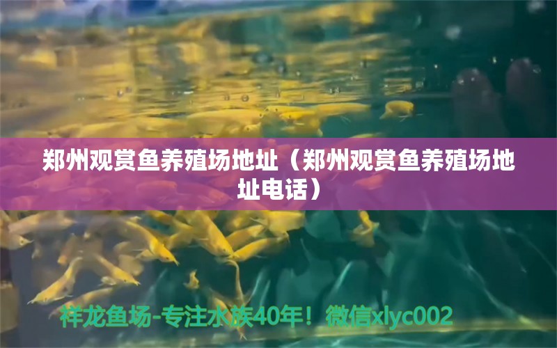 鄭州觀賞魚養(yǎng)殖場地址（鄭州觀賞魚養(yǎng)殖場地址電話）