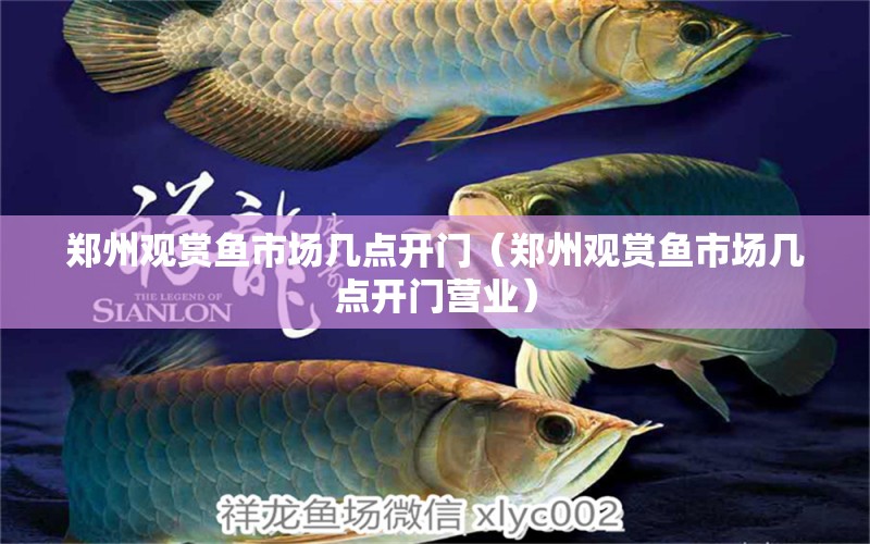 鄭州觀賞魚市場幾點開門（鄭州觀賞魚市場幾點開門營業(yè)）