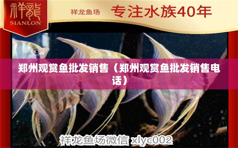 鄭州觀賞魚批發(fā)銷售（鄭州觀賞魚批發(fā)銷售電話）