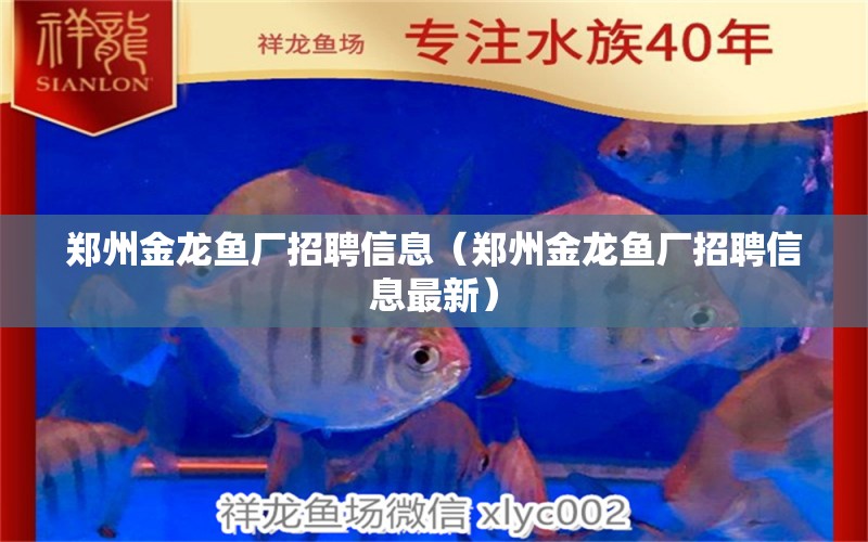 鄭州金龍魚廠招聘信息（鄭州金龍魚廠招聘信息最新）