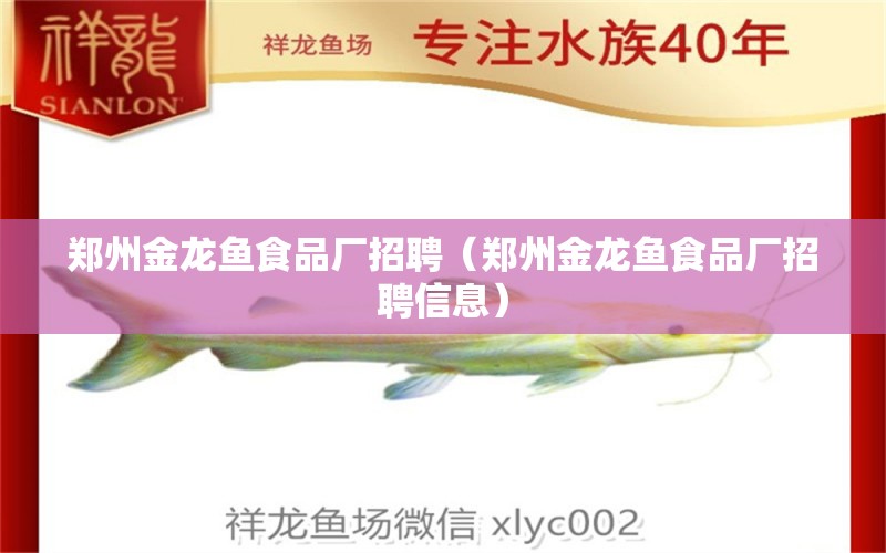 鄭州金龍魚食品廠招聘（鄭州金龍魚食品廠招聘信息）